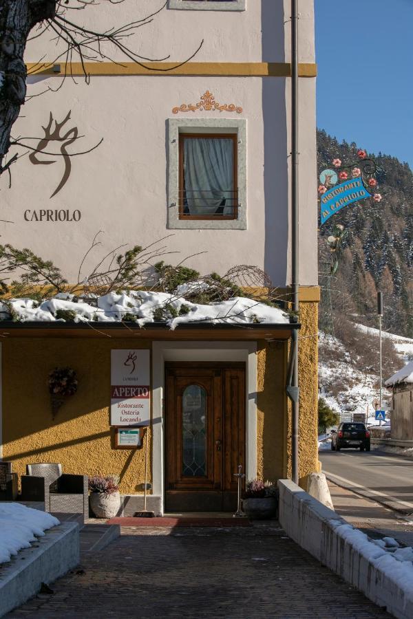 Al Capriolo Hotel Vodo Cadore Luaran gambar